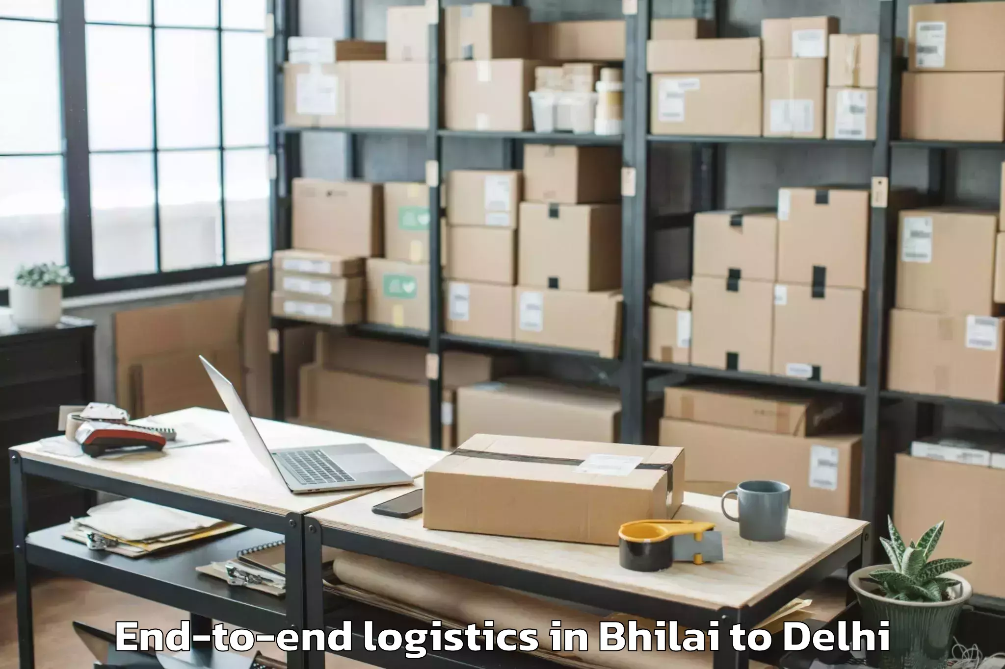 Trusted Bhilai to Alipur End To End Logistics